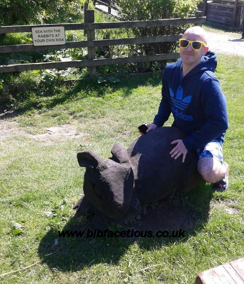 bib facetious sex with rabbits