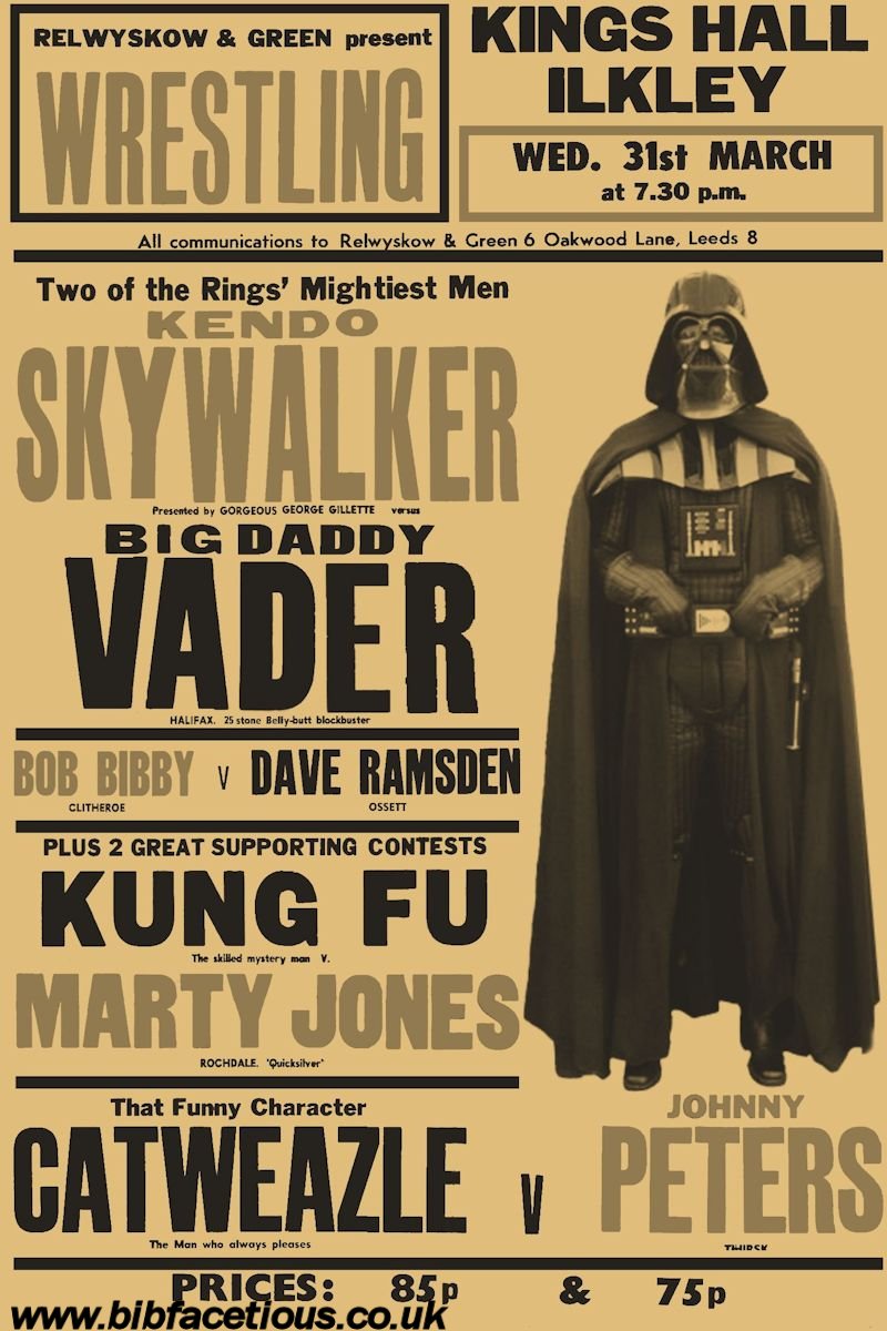 bib facetious star wars wrestling a