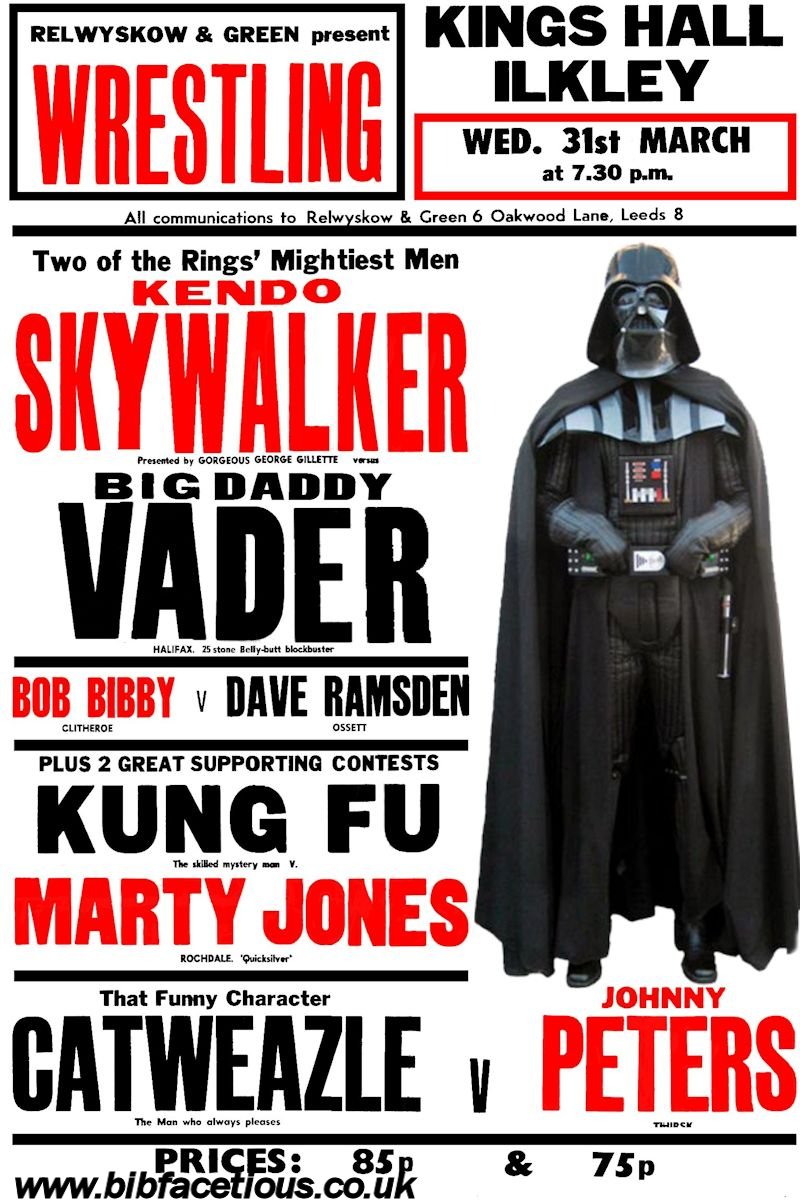 bib facetious star wars wrestling b